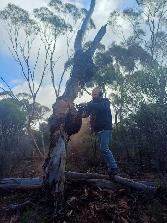 Walloroo Rock Adventure