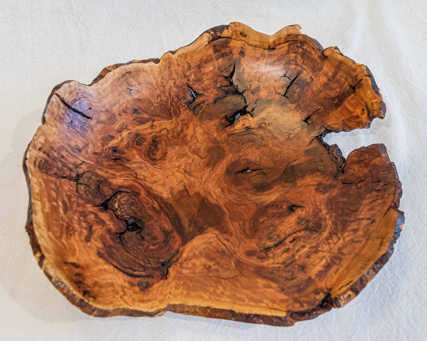 Decorative Bowl - Salmon Gum Burl