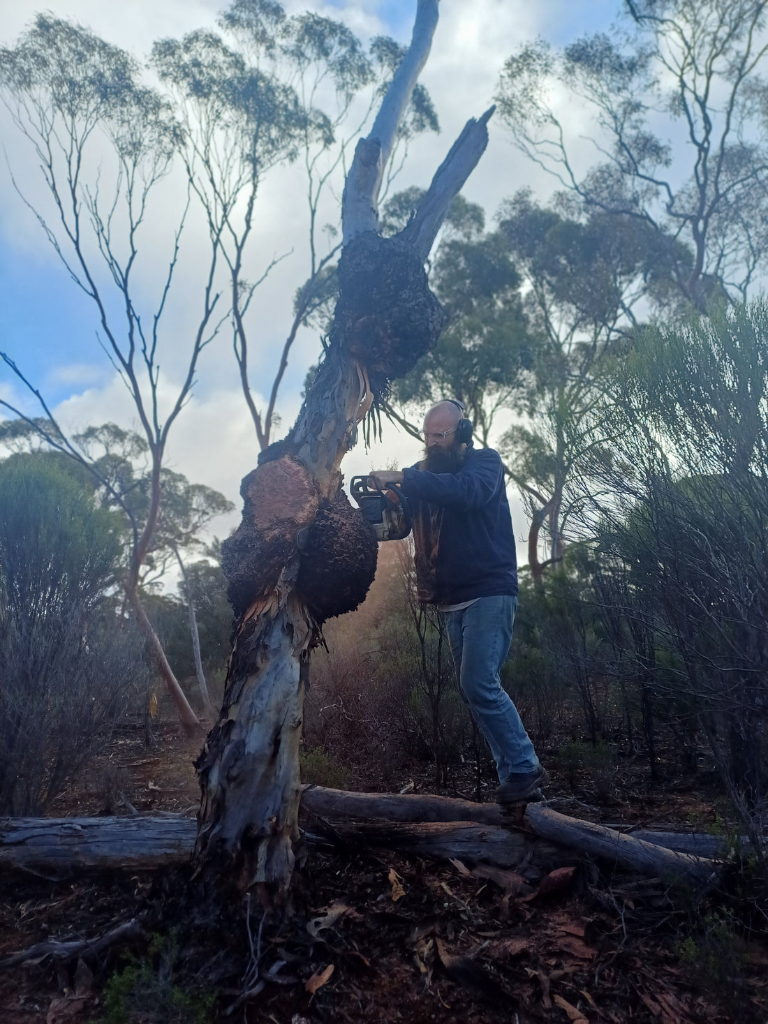 Walloroo Rock Adventure