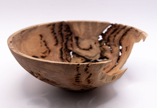 Decorative Bowl - Salmon Gum Burl