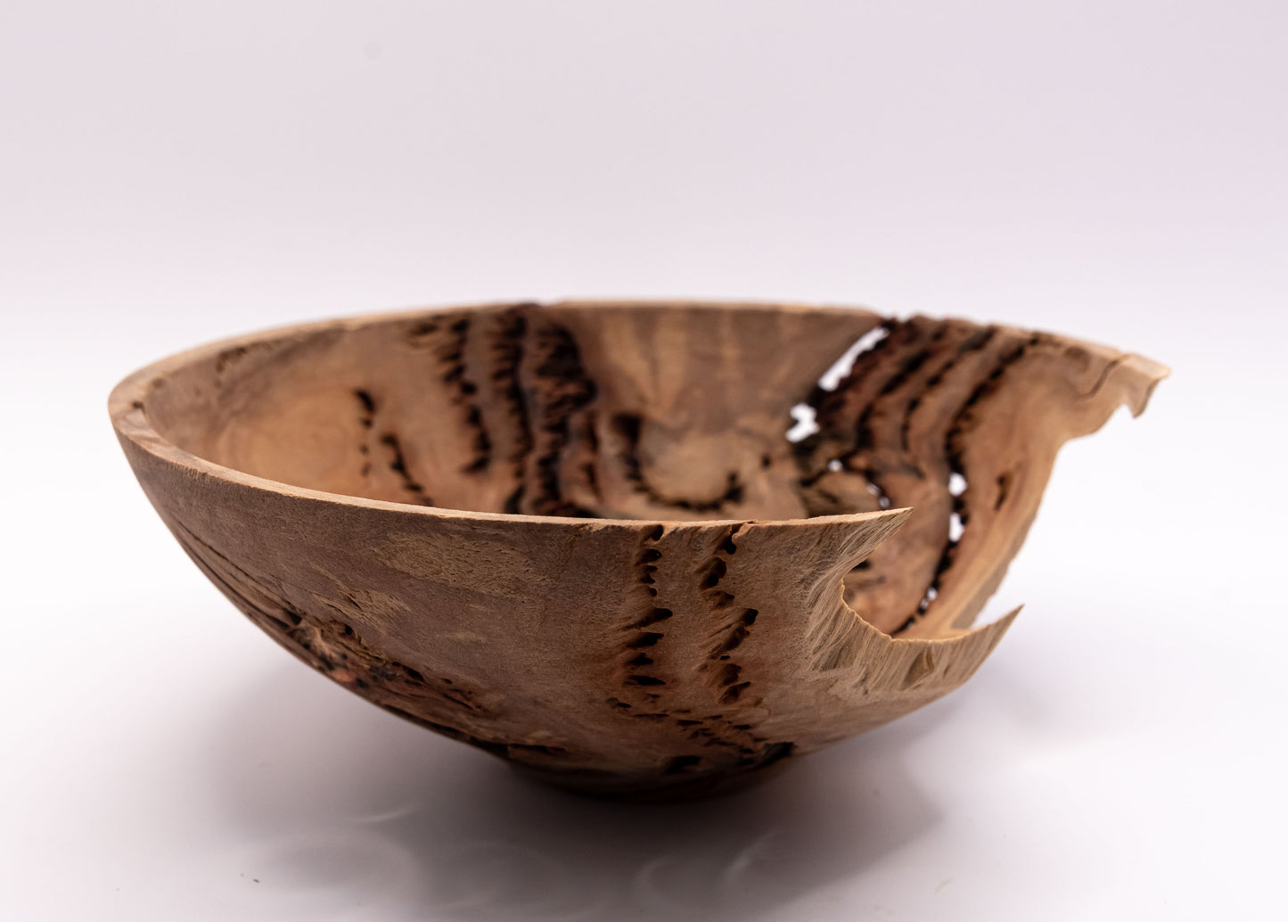 Decorative Bowl - Salmon Gum Burl