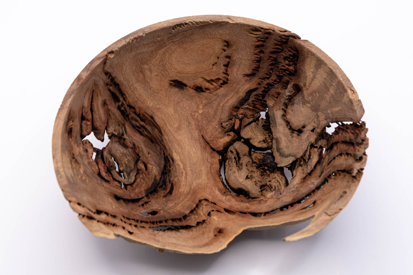 Decorative Bowl - Salmon Gum Burl