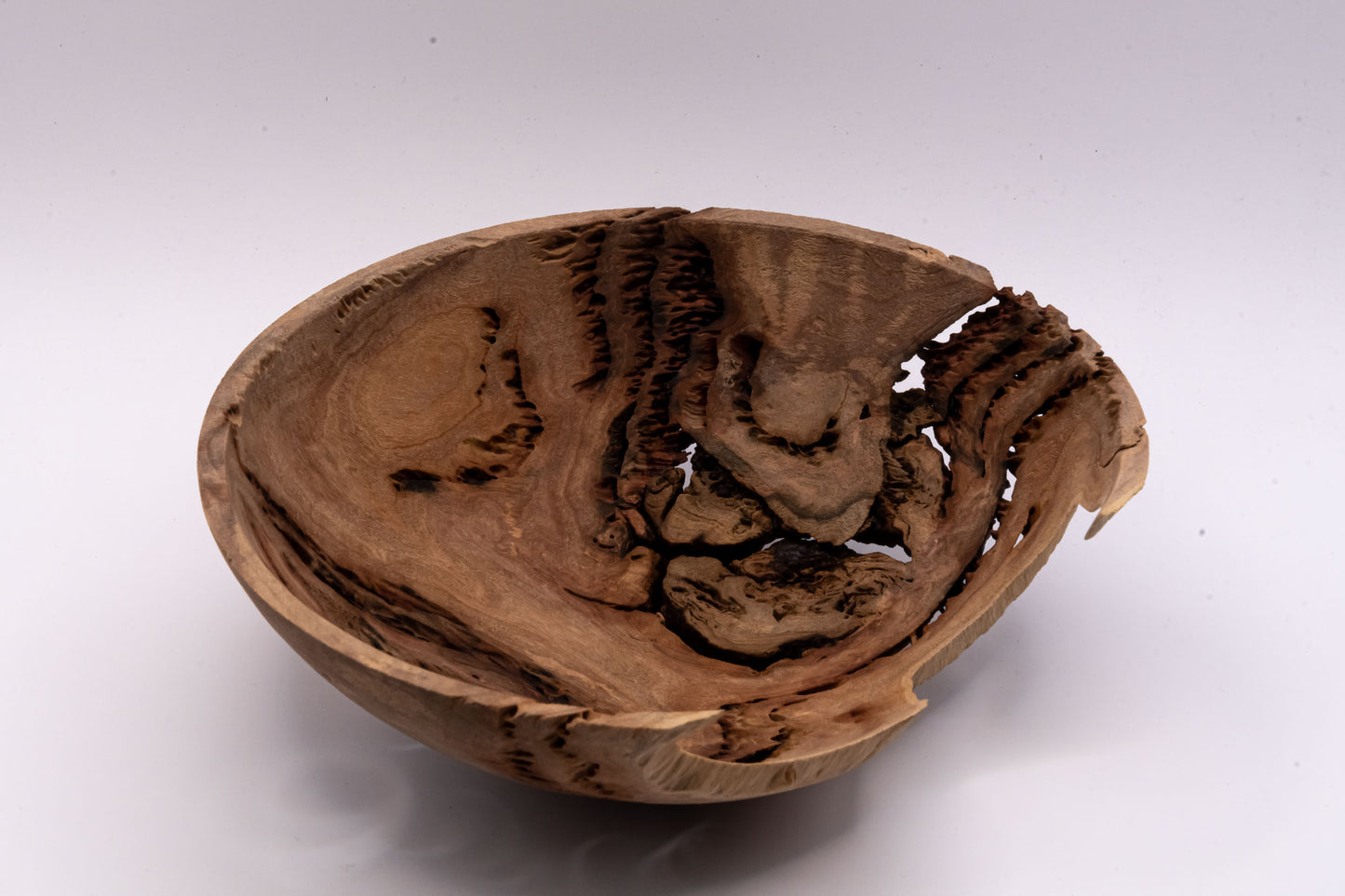 Decorative Bowl - Salmon Gum Burl