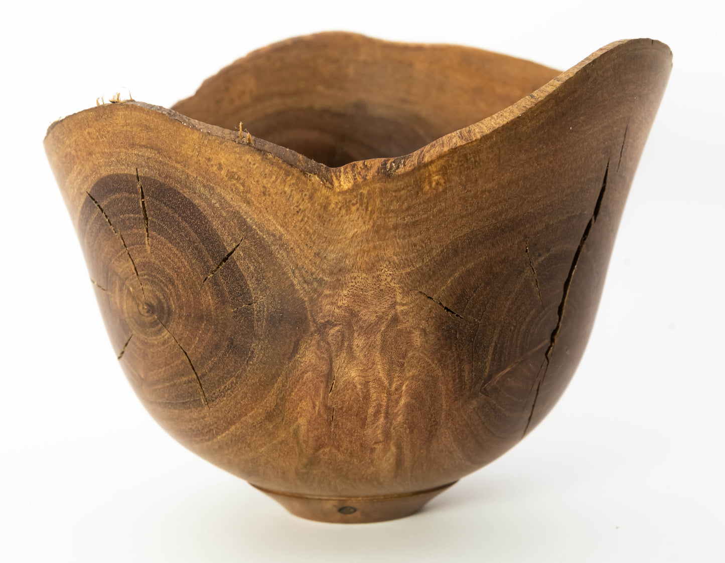 Natural Edge Bowl - Bottlebrush